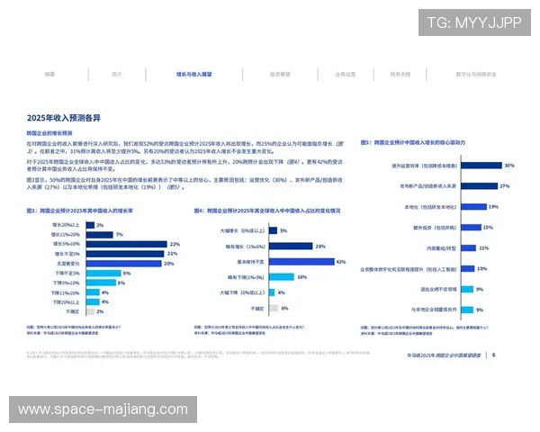 区域化定制内容需求增长,本地化运营深化 区域化定制内容需求增长,本地化运营深化